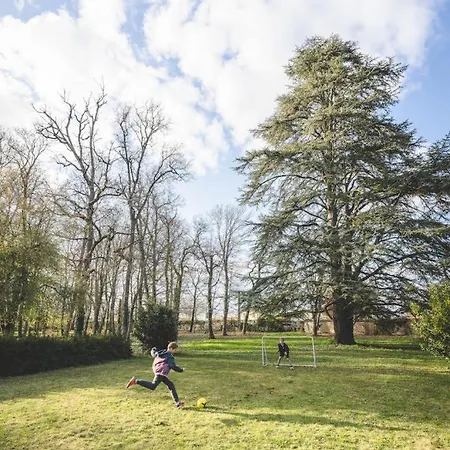 Le Du Cedre * Montamisé