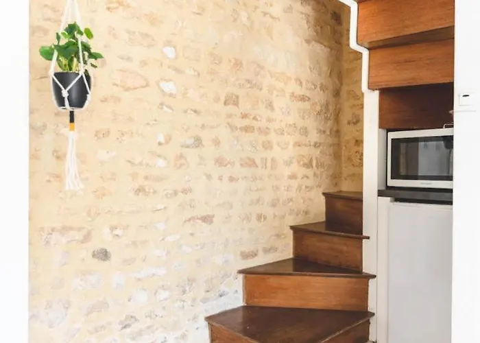 Le Du Cedre * Montamisé