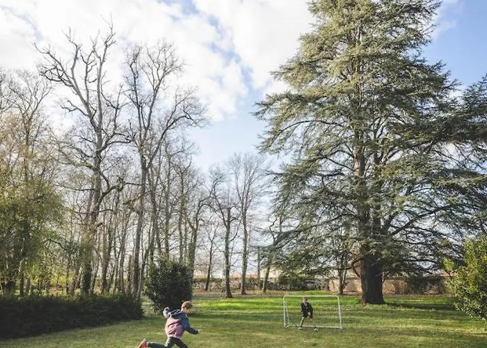 Le Du Cedre * Montamisé